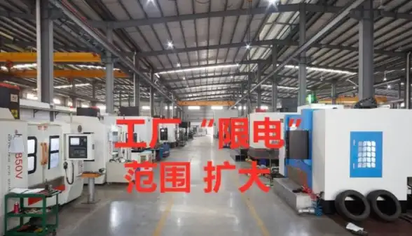 角色🔥指令🔥强度 2025玩具角色全面排行解析指南