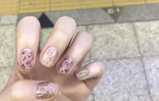Ins下载指南📷Ins怎么下载图片和视频？