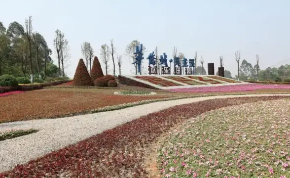 还在为找不到心仪影视发愁？花海视频app海量片库满足你的所有需求！
