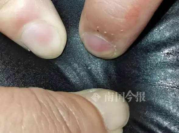 物业公告总错过？小智社区APP的智能提醒和便捷服务，你下载了吗？