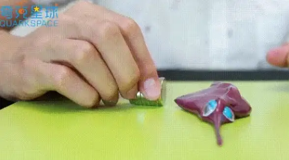 想要高效获取磁力资源？这款神器凭什么成为用户首选？