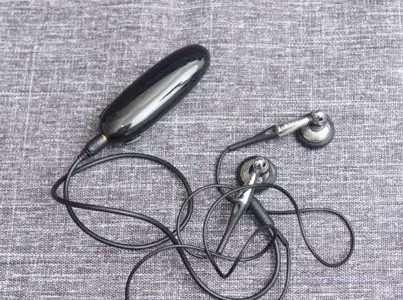 想免费畅享高品质音乐？海贝音乐APP满足你的所有听歌需求！
