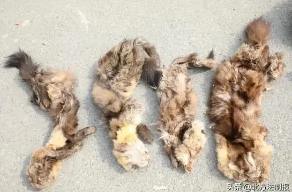 狩猎🔥单机🔥耐玩｜2025年度必玩狩猎者游戏大全精选