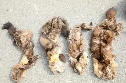 狩猎🔥单机🔥耐玩｜2025年度必玩狩猎者游戏大全精选