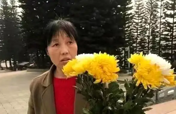 🔥攻略秘籍🔥详细解析🔥山村老屋第二关全攻略与隐藏要素深度揭秘