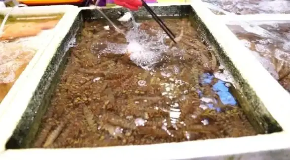 手机控如何高效管理时间？番茄ToDo的白名单和专注模式了解下？