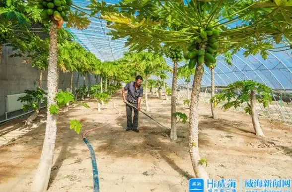 休闲娱乐🎮红心游戏下载，开启精彩休闲时光