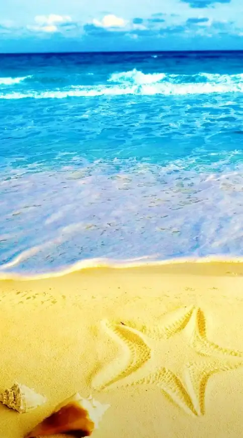 想随时随地畅享海量视频？华为视频APP满足你的所有需求！