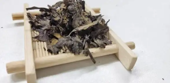 还在为上网速度烦恼？绿茶浏览器APP官方正版让你体验极速安全的安卓浏览！