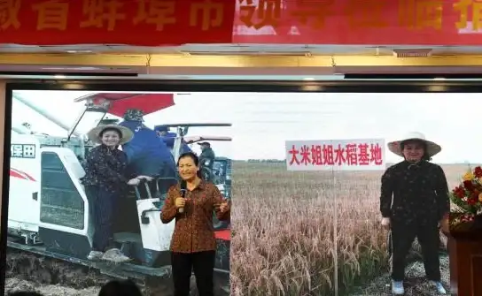 谁说问题不能秒解决？AI萝卜助理让你的生活更轻松！