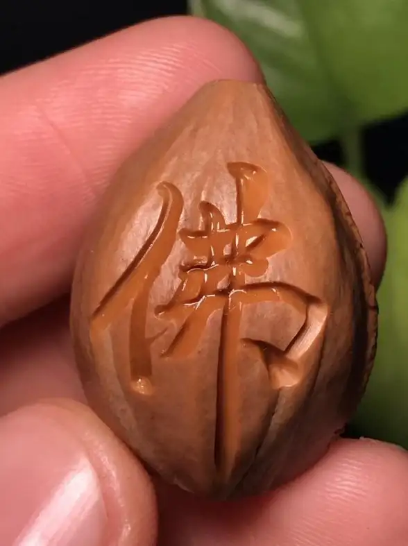 谁说照片处理不能有趣？趣拍app官网让你轻松玩转创意美化！