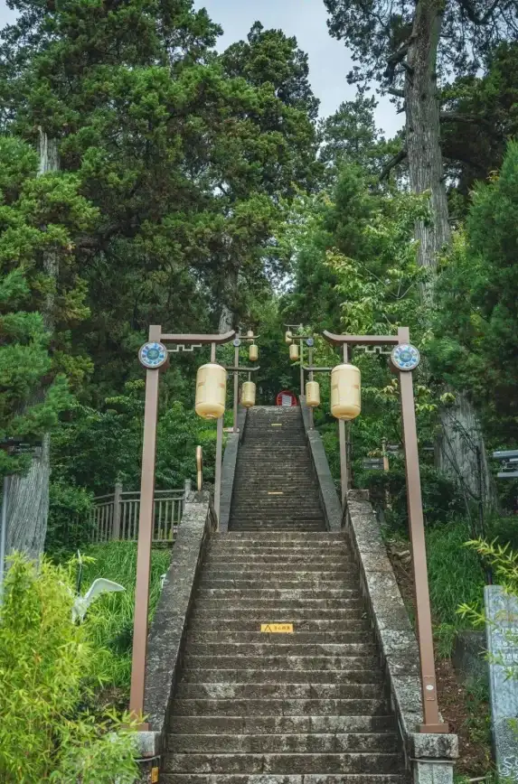 谁说旅行只能千篇一律？这款宝藏APP带你解锁全球独特体验！