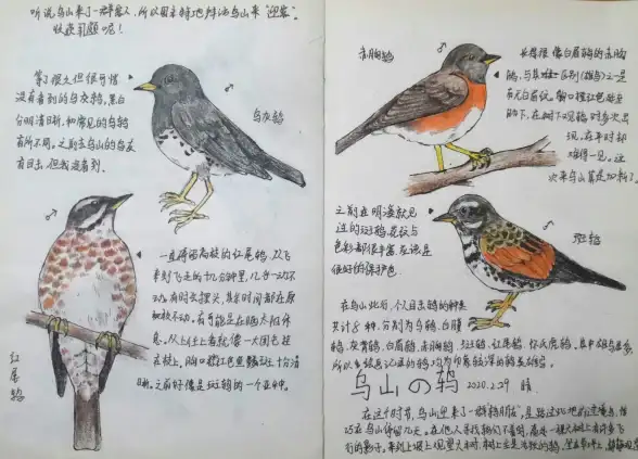 还在为记录生活发愁？随手写'APP一键满足你所有笔记需求！