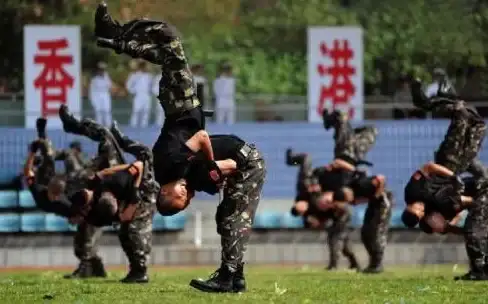 枪械测评✦高性价比✦地铁逃生必备！揭秘顶级武器性能排名