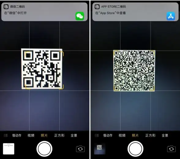还在为制作二维码发愁？试试XX APP，新手也能秒变生成高手！