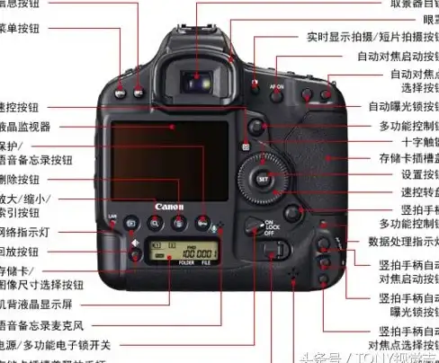 摄影入门📷新手指南｜新手必看：入门级单反相机推荐与选购全攻略