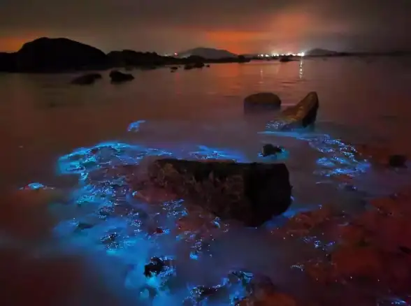 还在为母婴用品发愁？海拍客app帮你一站式解决！