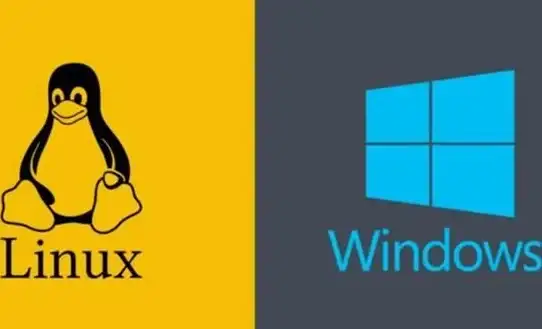 Steam游戏 Win11兼容性应对：修复无法运行问题的实用方法
