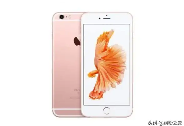 还在为找不到好用的实况图工具发愁？实况live动图相机软件一键搞定！