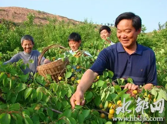 《丰收之路》新人快速赚金技巧，轻松提升发展速度
