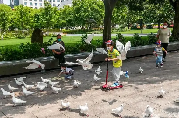 还在为网购烦恼？晨鸽乐园app让你轻松享受贴心购物体验！