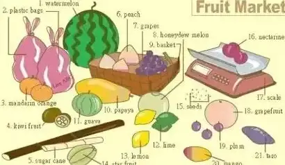 还在为记单词发愁？西瓜单词APP让你轻松高效学英语！