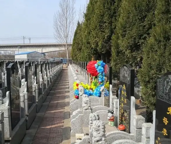 探秘🚀光遇59任务先祖坐标大全及快速完成攻略2023