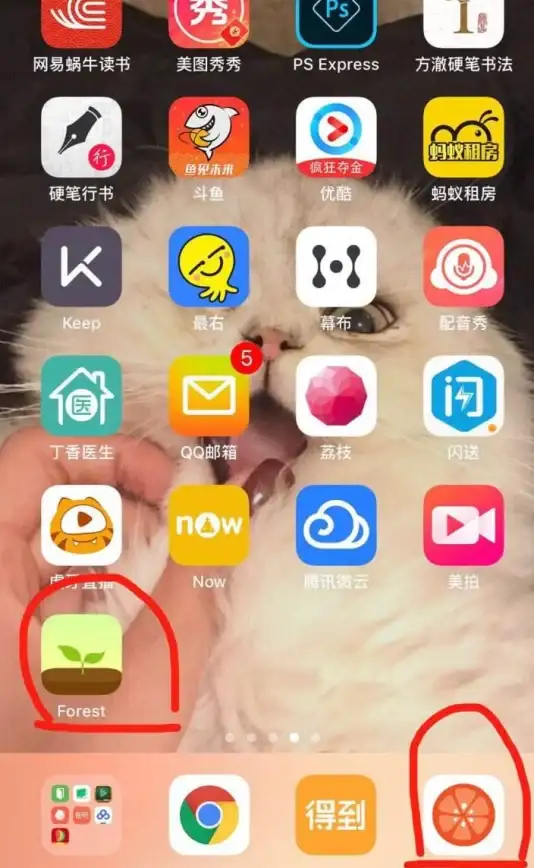 还在为拖延症烦恼？试试番茄锁APP，让强制锁屏帮你高效管理时间！