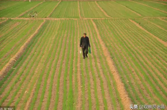 想一站式掌握农业动态、交流技术与交易农资？北大荒农业服务APP还不够全面吗？