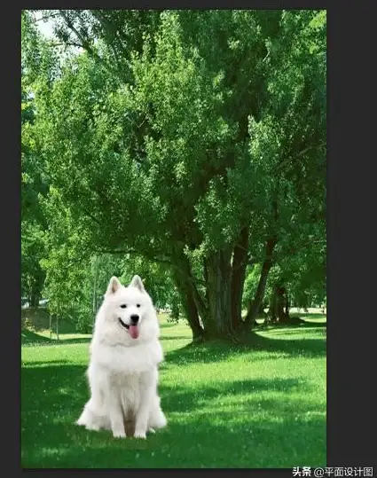 想轻松美化照片？抠图P图秀不就是你的最佳选择吗？