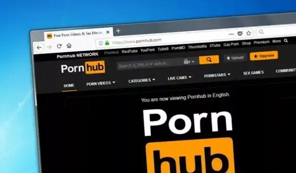 浏览器 谷歌浏览器官方下载，畅享高效便捷的网络浏览工具