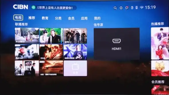 电视家修复版—你的专属TV播放助手，怎能错过？