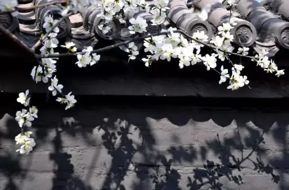 实用·干货·攻略｜桃花师好友管理全技能，删除恢复一步到位！