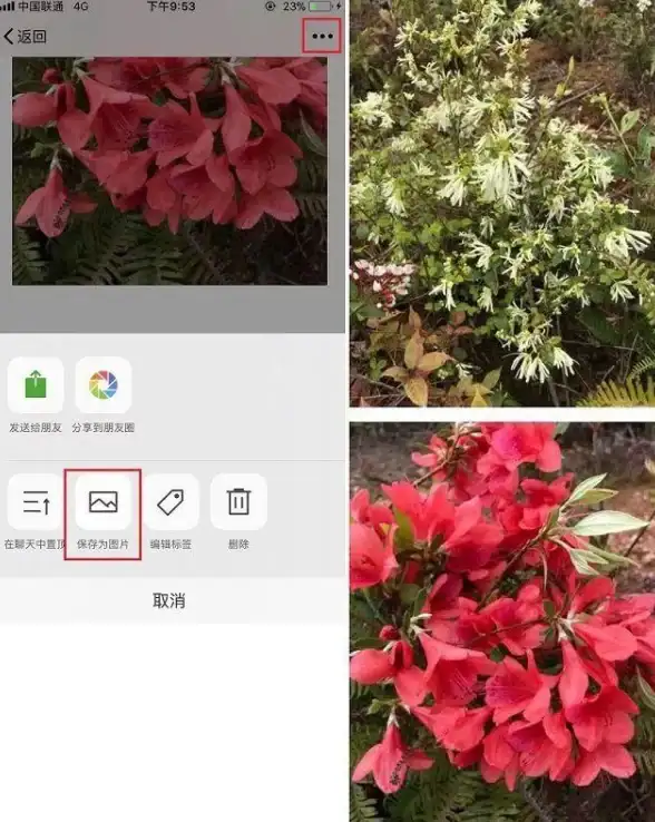 截屏技巧🍏苹果手机截屏方法全攻略，新手也能轻松上手