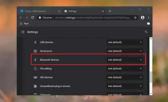 搜索引擎聚焦🟢Win11禁用Google，替代方案成用户热议新选择