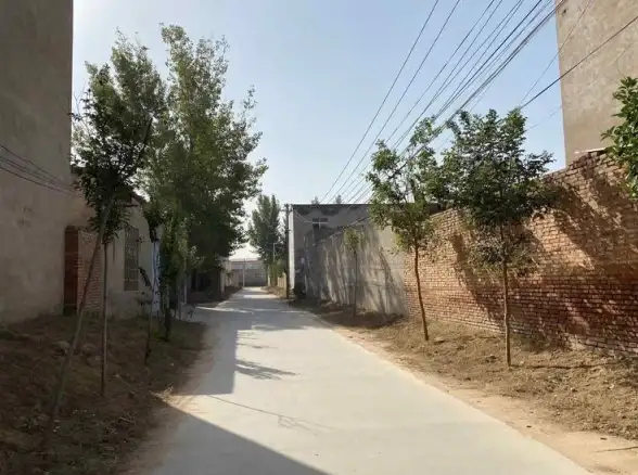 还在犹豫是否实地考察？全球实况摄像头APP的地图导航和街景功能难道不能帮你做决定？