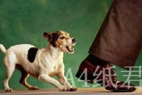 瞬搭新手攻略详解