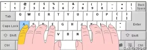 打字技巧🎹键盘指法教程：小鱼带你掌握盲打与高效打字练习方法