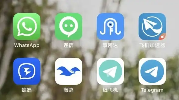 还在寻找高效沟通工具？蝙蝠app让你随时畅享真人在线聊天！