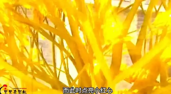 你的全能AI助手在哪？腾讯元宝APP解锁搜索、写作等超多实用功能！
