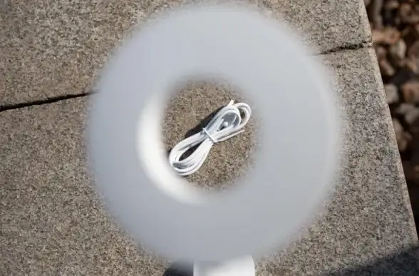 还在找免费小说阅读神器？夜读小说APP不香吗？