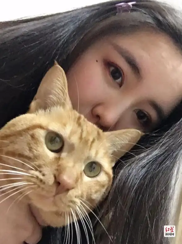 谁说专业应用和游戏难找？猫猫社区全都有！