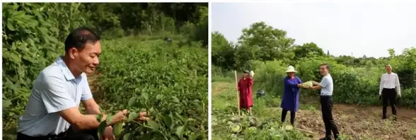 想拯救褪色的老照片？老照片修复APP’用AI技术还原细腻质感，轻松搞定！