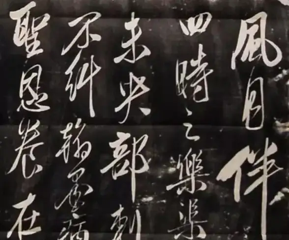 苹裹龙怎么培养？进化道具和关键要点分析