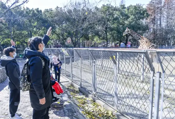 想轻松玩转动物园？上海野生动物园App不就是你的贴心游园助手吗？