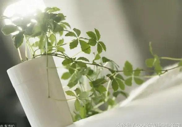 🔥攻略秘籍🔥震撼提升🔥植物大战僵尸抽卡版不安之树详细玩法＋顶级策略推荐！