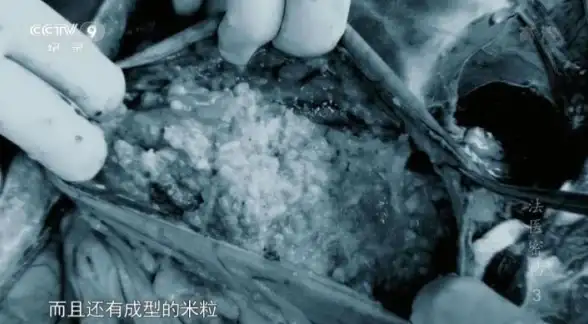 网络安全🟢身份识别 IP全景解析：网络世界中的信息流动与数字身份认知