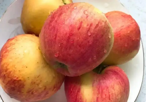 想拥有无与伦比的音乐搜索体验？歌词适配app新版满足你所有需求！