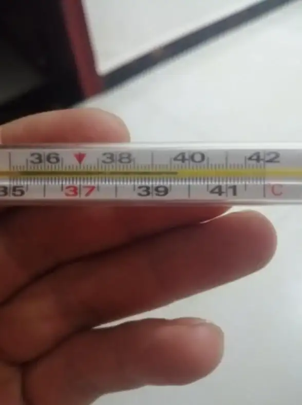 想随时随地掌握周边温度？双月温度计精准检测，异常高温即刻提醒！
