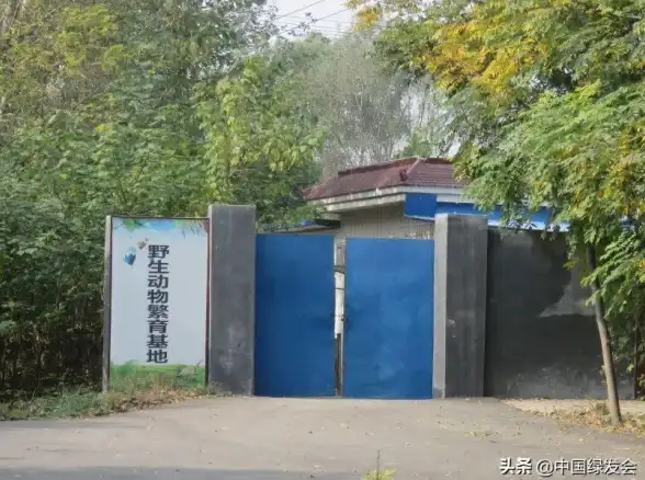 想打造爆款图文视频？趣推文软件难道不是你的最佳选择？